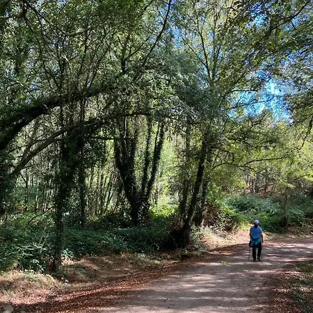 Casa Fina * Vilarino Frio